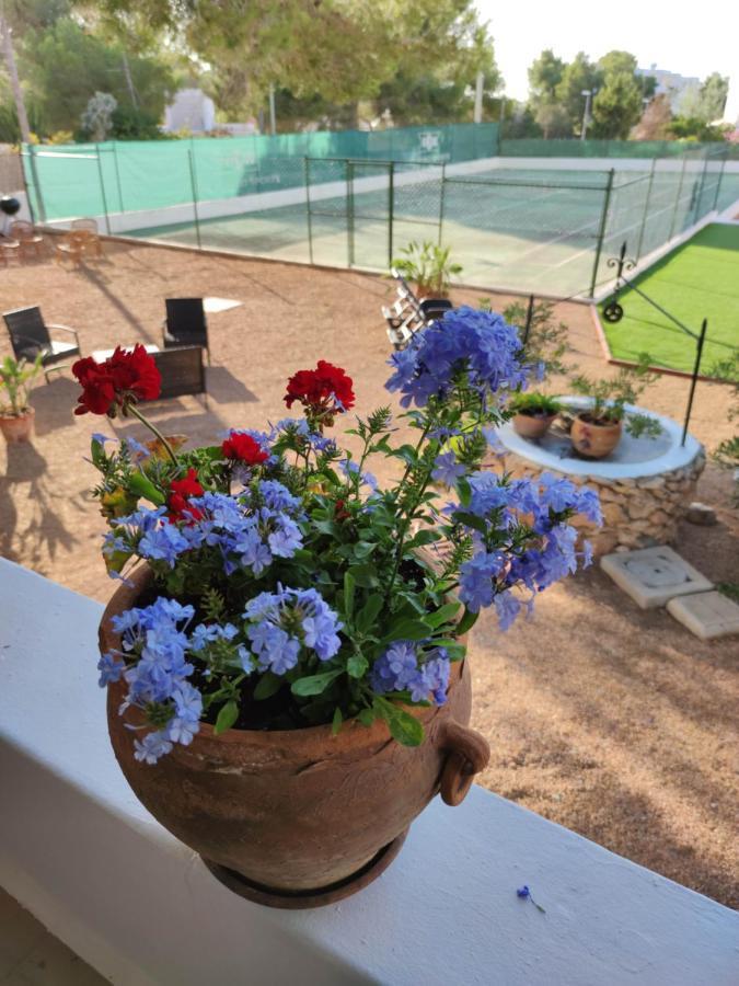 Beach And Tennis San José المظهر الخارجي الصورة